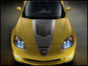 2009 Chevrolet Corvette GT1 Championship Edition