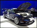 2006 Ford Mustang FR500-GT