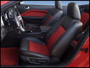 2007 Ford Shelby GT500