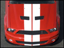 2007 Ford Shelby GT500