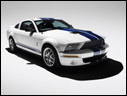 2007 Ford Shelby GT500