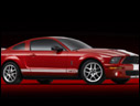 2007 Ford Shelby GT500