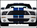 2007 Ford Shelby GT500
