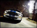 2007 Ford Shelby GT500