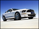 2007 Ford Shelby GT500