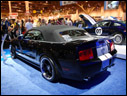 2007 Ford Shelby GT500 40th Anniversary