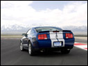 2008 Ford Shelby GT500KR