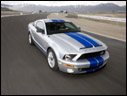 2008 Ford Shelby GT500KR