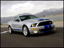2008 Ford Shelby GT500KR