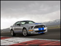 2008 Ford Shelby GT500KR