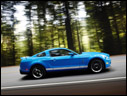 2010 Ford Shelby GT500