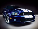 2010 Ford Shelby GT500