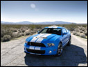 2010 Ford Shelby GT500