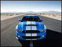 2010 Ford Shelby GT500
