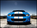 2010 Ford Shelby GT500