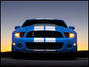 2010 Ford Shelby GT500