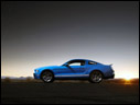 2010 Ford Shelby GT500