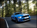 2010 Ford Shelby GT500