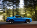 2010 Ford Shelby GT500