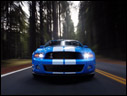 2010 Ford Shelby GT500