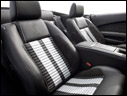 2010 Ford Shelby GT500 Convertible