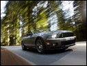 2010 Ford Shelby GT500 Convertible
