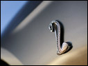 2010 Ford Shelby GT500 Convertible