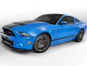 2013 Ford Shelby GT500
