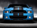 2013 Ford Shelby GT500