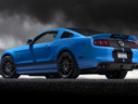 2013 Ford Shelby GT500