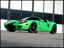 2009 Geiger Ford GT HP790