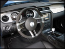 2010 Geiger Shelby_GT500