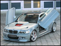 2002 Hamann Las Vegas Wings