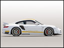 2008 Hamann Stallion