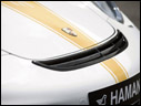 2008 Hamann Stallion