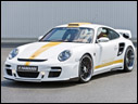 2008 Hamann Stallion