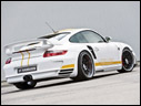 2008 Hamann Stallion