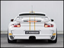 2008 Hamann Stallion