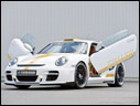 2008 Hamann Stallion