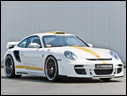 2008 Hamann Stallion