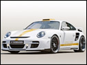2008 Hamann Stallion