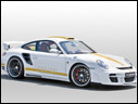 2008 Hamann Stallion