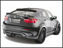2010 Hamann Tycoon Evo M