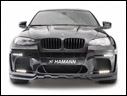 2010 Hamann Tycoon Evo M