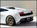 2009 IMSA GTV Gallardo LP560-4