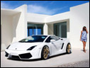 2009 IMSA GTV Gallardo LP560-4