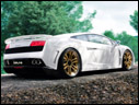 2009 IMSA GTV Gallardo LP560-4