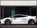 2009 IMSA GTV Gallardo LP560-4