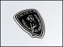 2009 Iacocca Silver 45th Anniversary Edition Mustang
