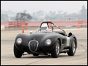 1951 Jaguar C-Type